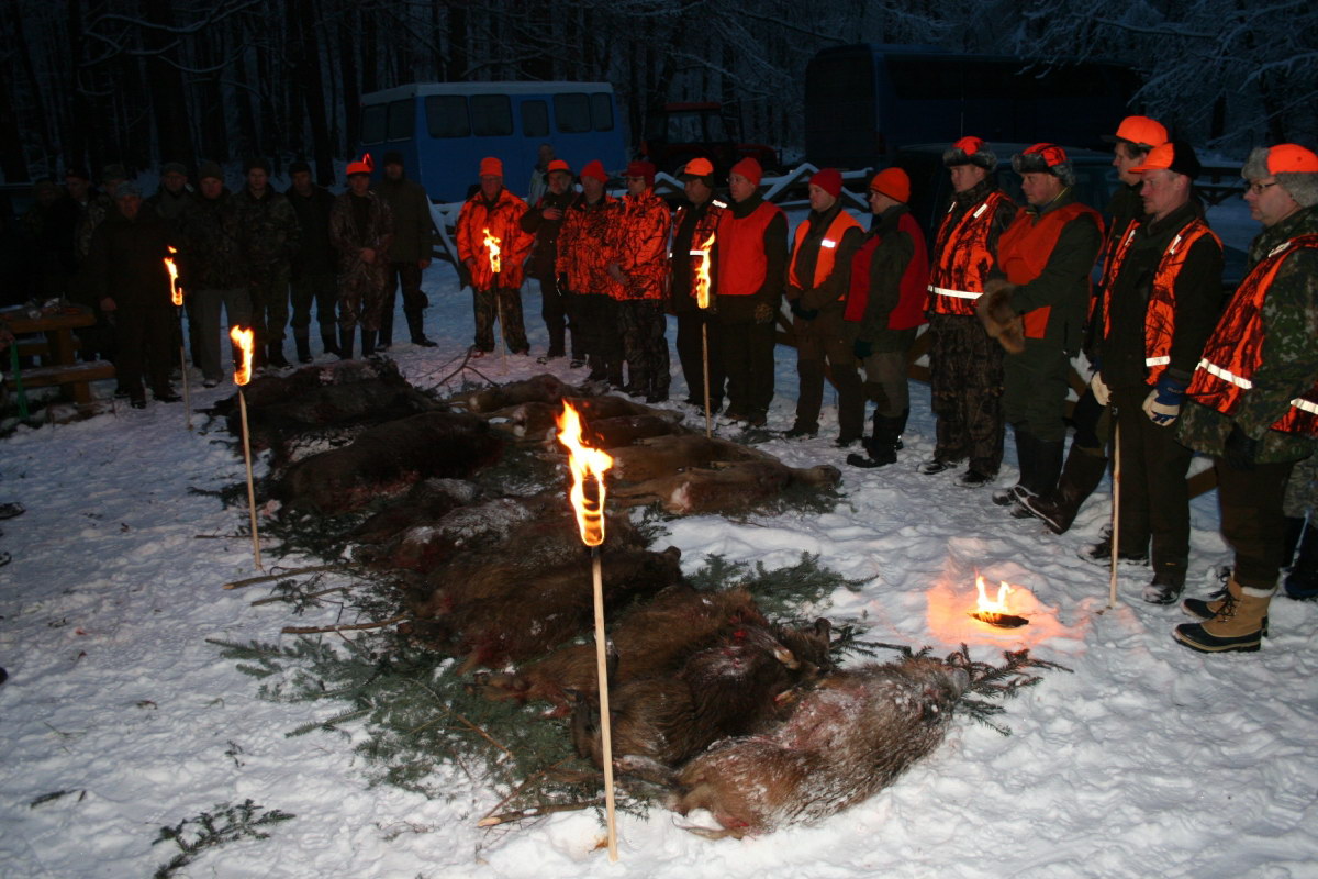 Driven-Hunt-In-Poland-015
